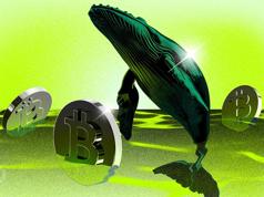 Fidelity Warns: Nearly 30% of Bitcoin Could Be a “Dead Asset” by 2035 Why Is This a Concern?